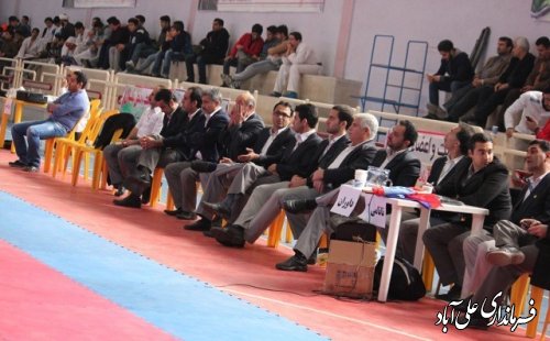 دومین دوره مسابقات کاراته قهرمانی شمال کشور در شهر فاضل آباد برگزار شد