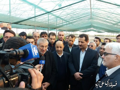 افتتاح گلخانه تولید نهال زیتون منطقه حاجیکلاته با سرمایه گذاری ۱۰۰ میلیارد ریالی