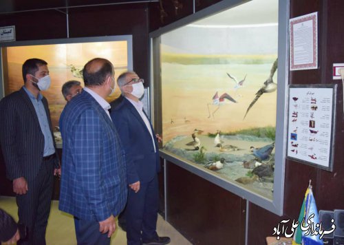 نمایش عظمت خالق زیباییها در موزه تاریخ طبیعی شهرستان علی آباد کتول
