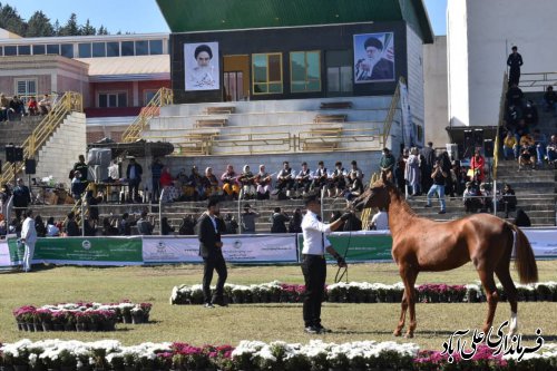 برگزاری موفق سومین جشنواره ملی زیبایی اسب ترکمن درعلی آباد کتول؛
