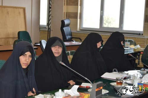 اجرای طرحهای حجاب و عفاف توسط ستادهای مردمی ومتولیان فرهنگی  عملیاتی می گردد
