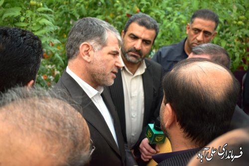 وزیر جهاد کشاورزی از شهرک گلخانه ای 10 هکتاری علی آباد کتول بازدید به عمل آورد