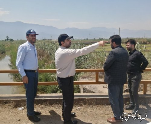 فرماندار علی آبادکتول از روستای حاجی آباد بازدید کرد